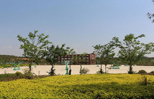 云南商务职业学院五年制大专