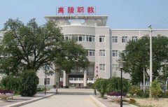 高陵县职教中心2021年录取分数线