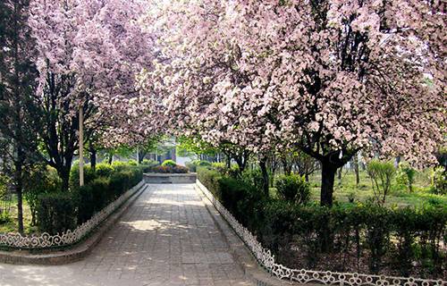 苏州铁路机械学校