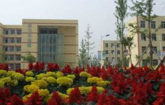 合阳职业技术教育中心2021年录取分数线