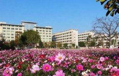 靖边职业教育中心2021年录取分数线