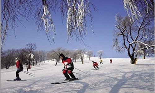 黑龙江省滑雪学校