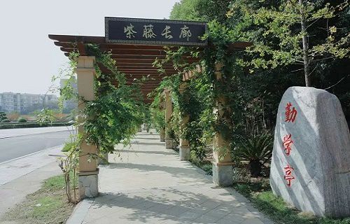 武汉铁路职业技术学院图片