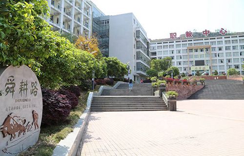 延寿县职业教育中心学校图片