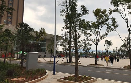 白水职业中等专业学校图片
