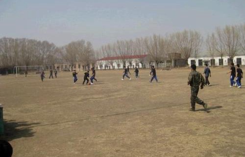 齐齐哈尔农业机械化学校图片