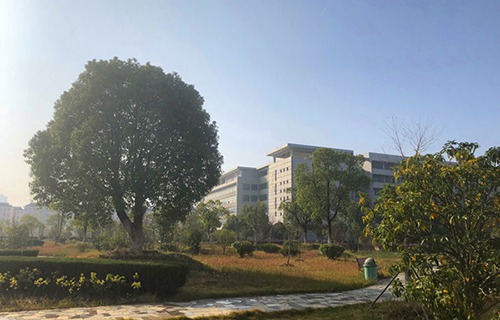 镇原县兴华职中图片
