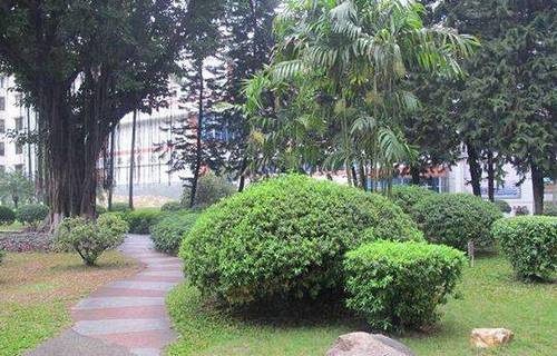 常熟市技工学校图片