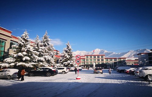 西藏医学院图片