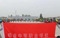 杨凌中等职业学校2021年录取分数线