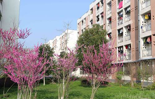 长治轴承厂技工学校图片
