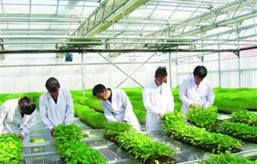 鞍山市农业综合中专图片