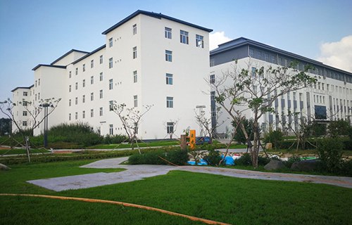 龙江县职业技术教育中心学校图片
