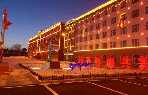 依安县职业技术教育中心学校图片