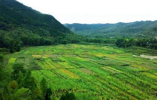 平顺县农业职业中学图片