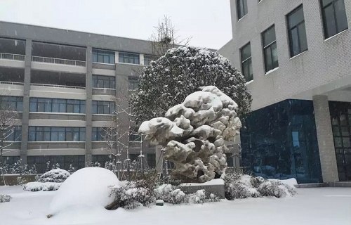 郑州电力高等专科学校图片
