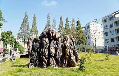 安徽省农业广播电视学校图片