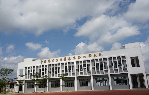 海南省旅游学校图片