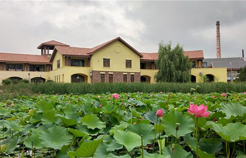 长春建筑学校图片