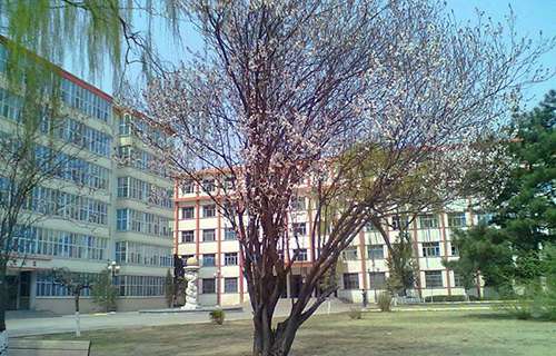 抚顺市科技职业高中图片