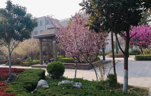 枣庄市第二卫生学校图片