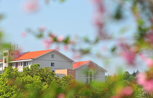 长沙师范学校图片