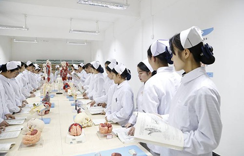 广西护理学校图片