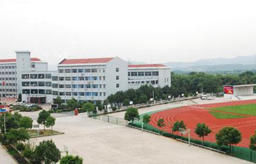 龙州县职业技术学校图片