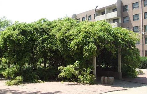 无锡海鹰技工学校图片