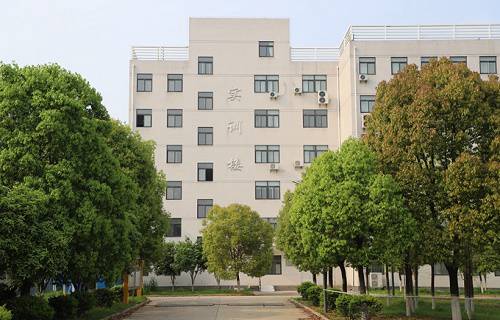 武汉信息传播职业技术学院图片