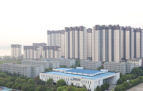 武汉信息传播职业技术学院图片