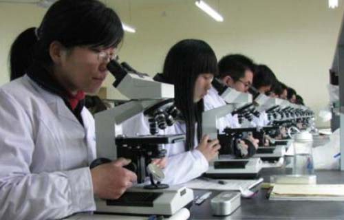 永平县职业高级中学图片