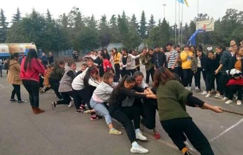 渭南幼儿师范学校图片