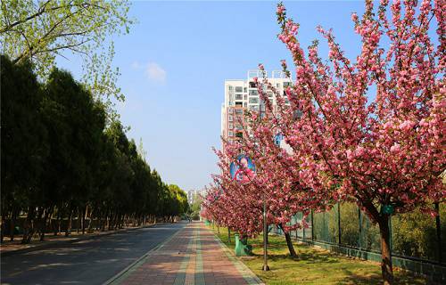 湖北信息工程学校图片
