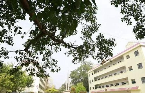 弥渡县职业高级中学图片