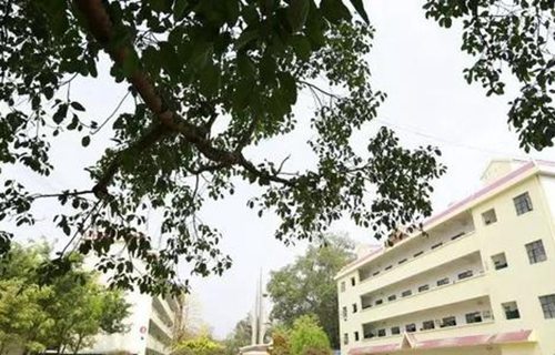 睢宁县朱集职业中学图片