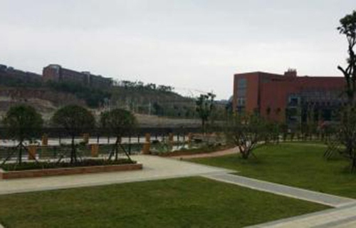 大新县职业技术学校图片