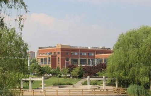 大新县职业技术学校图片