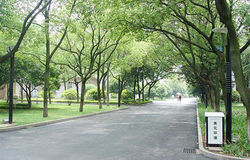 大新县职业技术学校图片