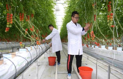 江苏海安农业工程学校图片