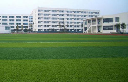 牟定县职业中学图片