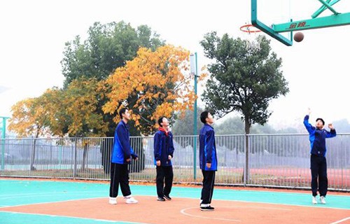 桐乡技师学院图片