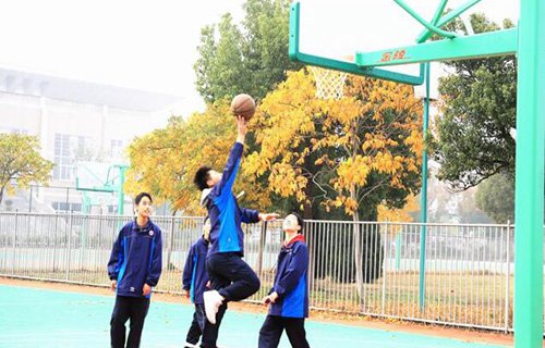 桐乡技师学院图片