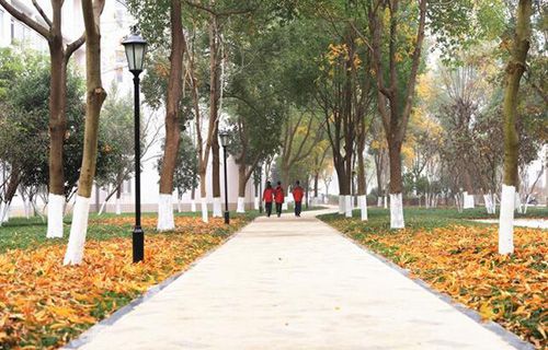 桐乡技师学院图片