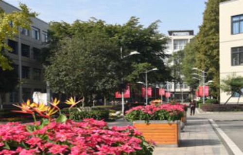 临渭区农业技术学校图片