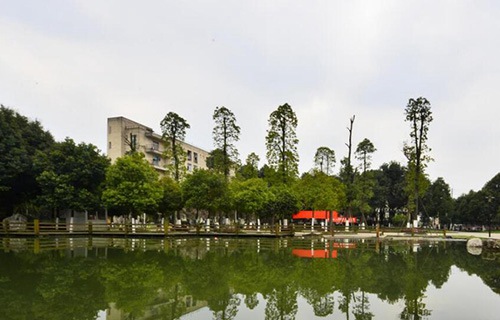 临渭区农业技术学校图片