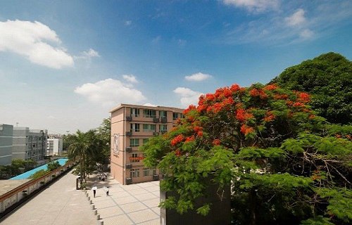 广东省华侨职业技术学校图片