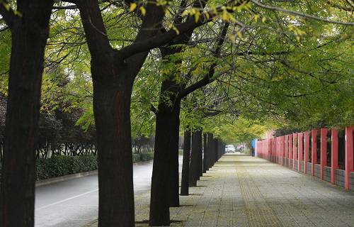 河南省针灸推拿学校图片