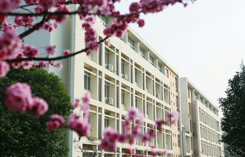 河南省针灸推拿学校图片