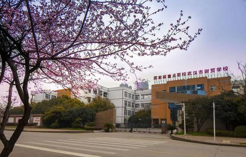 武汉市财贸学校图片